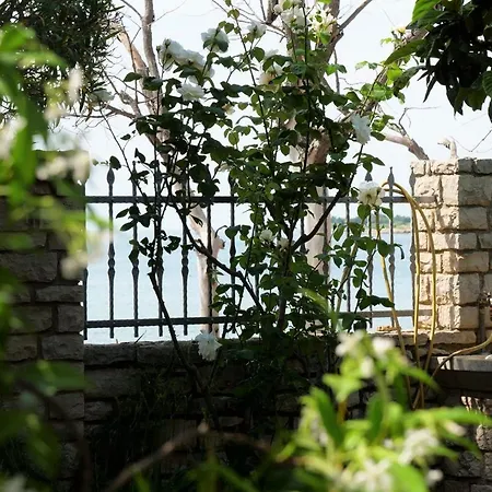 Sveti Ivan Guest house *
